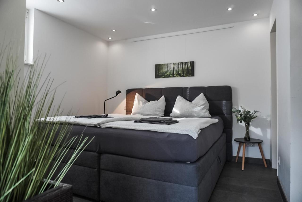 Neu Gebautes Apartment Mit Sonnenterasse In Der Naehe Vom Siebengebirge & Bonn Koenigswinter Exterior photo